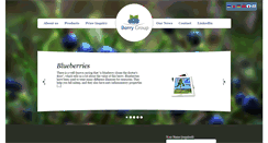 Desktop Screenshot of berrygroup.ee