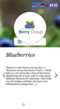 Mobile Screenshot of berrygroup.ee